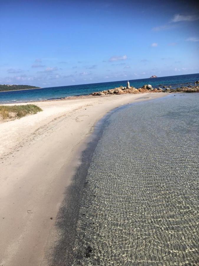 La Corse Les Pieds Dans L'Eau Lägenhet Pinarellu Exteriör bild